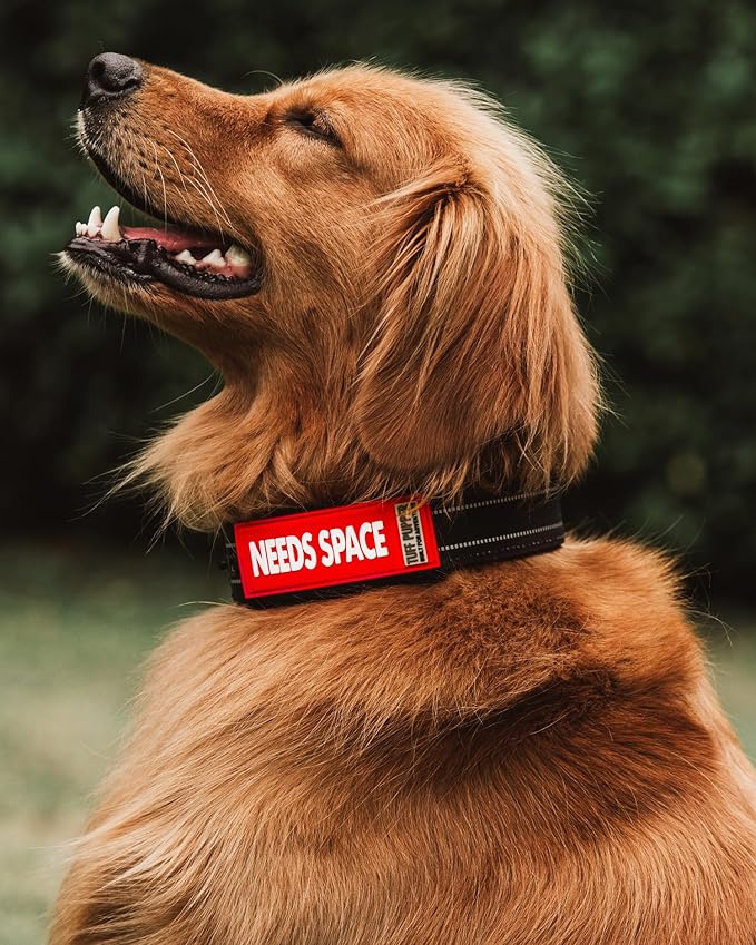 Tuff Pupper 2-Pack Waterproof Collar Sleeves | Fits Any 3/4 Inch Wide Dog Collar | Dual Sided Message | Durable Silicone & Neoprene | Odor & Stink Proof | Easy Slide On & Off (Needs Space, Small)