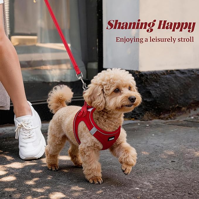 YIMEIS Dog Harness and Leash Set, No Pull Soft Mesh Pet Harness, Reflective Adjustable Puppy Vest for Small Medium Large Dogs, Cats (Red 02, Small (Pack of 1)