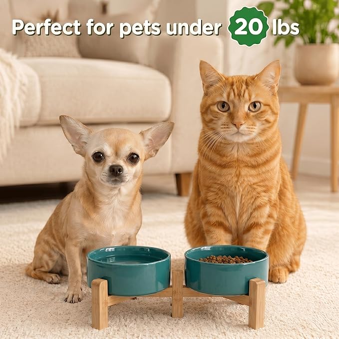 SPUNKYJUNKY Elevated Dog Bowls Ceramic, 5.1'' Dogs and Cat Food Water Bowls Raised with Non-Slip Bamboo Stand for Puppy Small Sized Breed Microwave Dishwasher Safe - 13.5 OZ,Dark Green