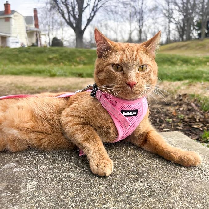 rabbitgoo Cat Harness and Leash, Escape Proof Vest with 3 Adjustable Buckles, Soft Comfortable Kitten Harness, Easy to Wear, Reflective for Safe Outdoor Walking, XS, Pink
