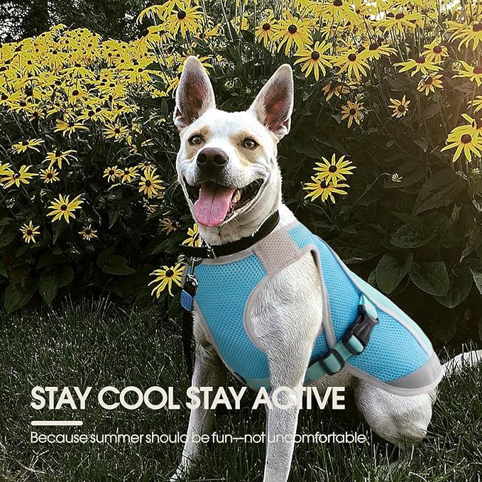 Kuoser Dog Cooling Vest for Summer, Lightweight Dog Cooling Harness Shirt with Breathable Mesh, Reflective Cooler Jacket Pet Cool Vest for Small Medium Large Dogs, Hot Weather, Beach, Hiking, Walking