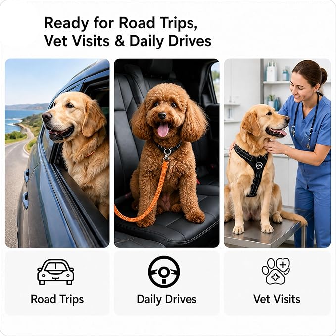 Dog Seat Belt 2Pcs, Retractable Pet Car Harness, Adjustable Dog SeatBelts for Vehicle, Nylon Pet Safety with Elastic Bungee