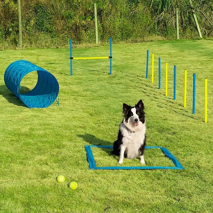 Dog Agility Training Equipment, Dog Obstacle Course Training Starter Kit Pet Outdoor Game with Tunnel, Agility Hurdle, Weave Poles, Jump Ring, Pause Box
