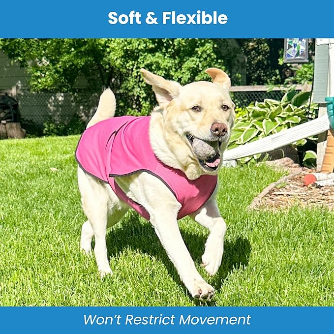 Dog Cooling Vest – Lightweight Evaporative Shirt with UV Protection for Small, Medium, and Large Dogs – Breathable Soft Fabric for Hot Weather (XS, Dark Blue)
