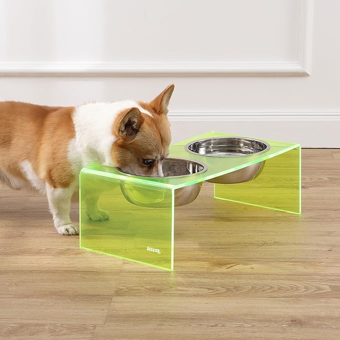 THE LICKER Store DBL2001G Keaton 7.5" Medium/Large Modern Acrylic Rectangular Elevated Pet Feeder with 54oz 2-Stainless Steel Bowls, Green/Chrome