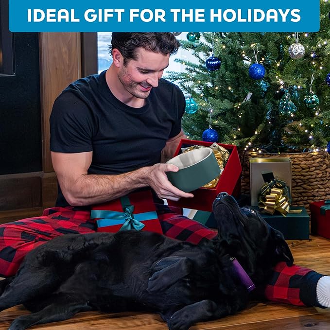 Master Pet Supply Stainless Steel Slanted Dog Cat Food Bowl - 16 oz Heavy Duty - Pistachio, Double Wall Insulated, Non-Slip Elevated Bowl for French Bulldogs Pugs Cats, Anti Rust Dishwasher Safe