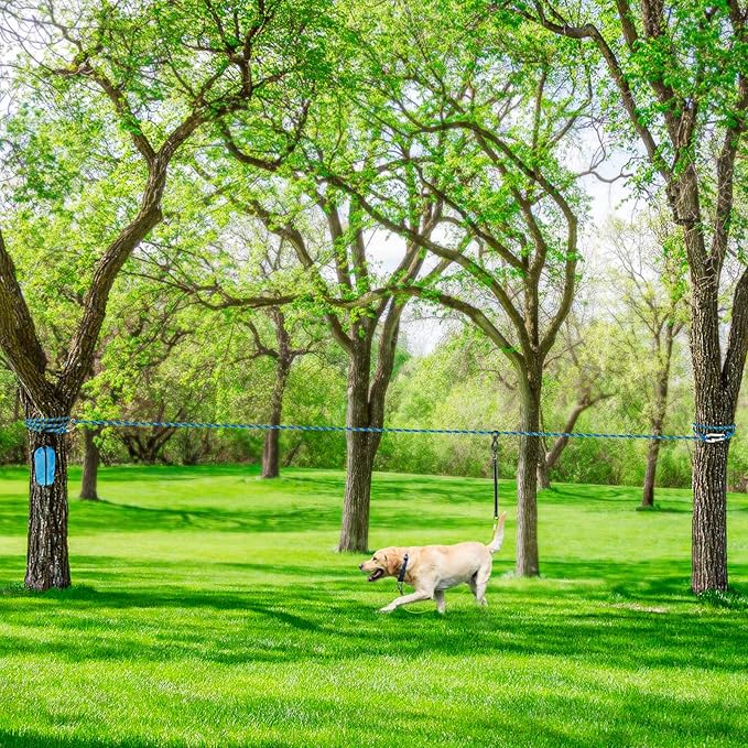 XiaZ Dog Tie Out Cable for Camping, 100ft Portable Overhead Trolley System for Dogs up to 200lbs,Dog Lead for Yard, Camping, Parks, Outdoor Events,5 min Set-up Blue
