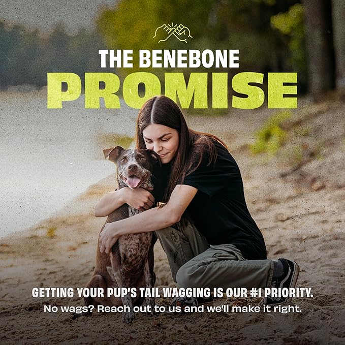 Benebone Natural Rubber Ball, 2-Pack