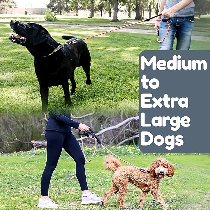 6 Foot Dog Leash, Two Extra Padded Handles, Locking Carabiner Clip, Reflective for Night Visibility, Weatherproof, Heavy Duty Rope Leash, Roam Gear (Pink)