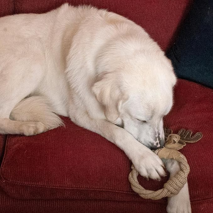 SPOT Dura-Fused Leather Animal Rings - Rope Dog Toy, Made with Real Leather and Jute Fabric, Durable Rope Ring is Great for Tugging and Chewing - 11in, Assorted Styles, 1 Piece