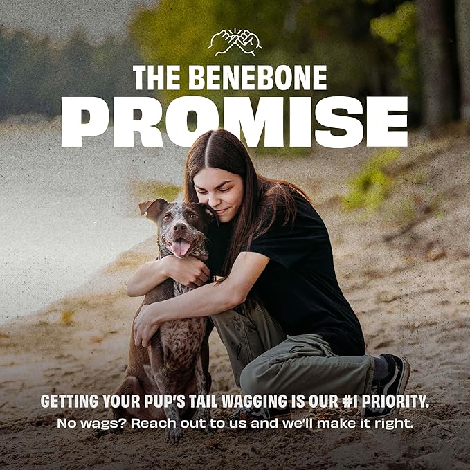 Benebone Durable Rubber Dog Toy Ball, Limited Edition America 250, One Size