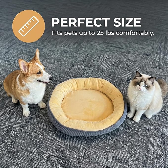 Calming Dog Bed for Small Dogs 16"x20" - Washable Donut Pet Bed with Anti-Slip Bottom, Soft Puppy Bed for Indoor Kittens and Cats with Removable Cover (Beige)
