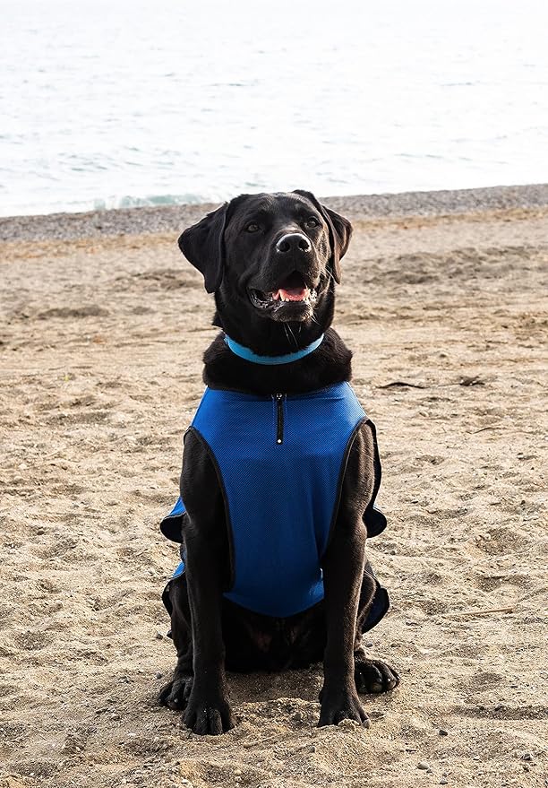 Dog Cooling Vest – Lightweight Jacket for Dogs with Zip Neck & Velcro – Easy On/Off Cooling Coat for Walks, Travel & Outdoors by Lautus Pets - L