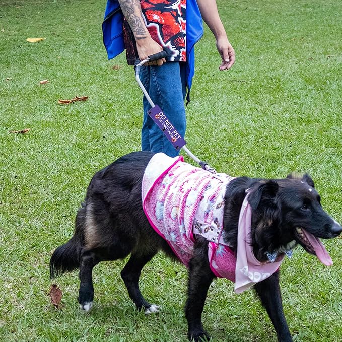 Working Dog Do Not Pet Leash Sleeve Working Dog Leash Wrap Social Distancing Dog Patch (NO Hand Sniffs)