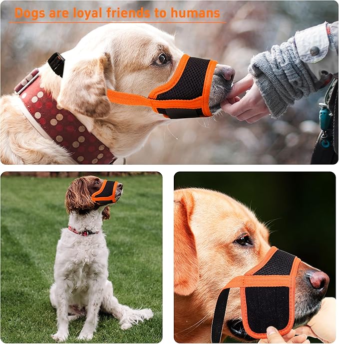 Seyezo Dog Muzzle, Soft Breathable Muzzle for Small Medium Large Dogs, Air Mesh Nylon Muzzle Cover Prevent Biting Barking Chewing, Adjustable Drinkable Pet Muzzle 6 Sizes (Orange,L)