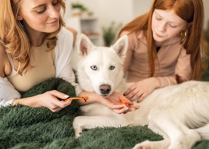 Brushmate Dog Toothbrush and Bite Block Assistant (Protects Hand and Fingers) Combo Pack by Paw Ready for Puppies' Dogs and Cats Medium Size for use with Pets Between 15-85 lbs. (7-38.5 Kg).