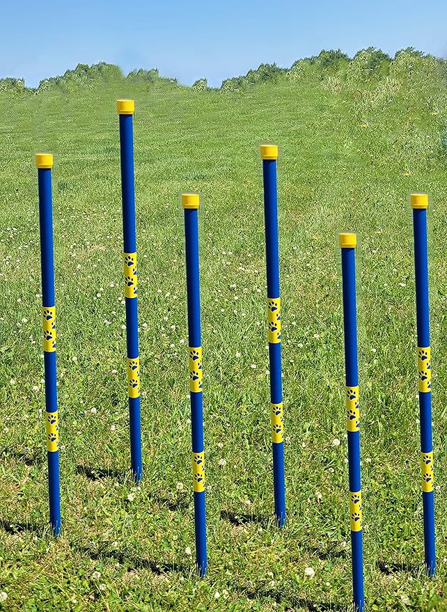 ActiveDogs Agility In-ground Weave Poles - Outdoor Dog Obstacle Agility Training Exercise Equipment Kit (Set of 12 Set w/Bag & Position Guide)