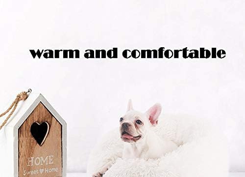 Modern Soft Plush Round Pet Bed for Cats or Small Dogs, Mini Medium Sized Dog Cat Bed Self Warming Autumn Winter Indoor Snooze Sleeping Cozy Kitty Teddy Kennel (24'' D x 8'' H, White)