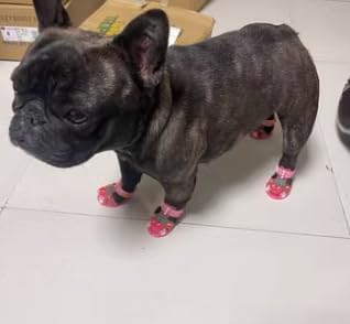 Cute Summer Dog Shoes Sweet Cherry Puppy Sandals Pet Jelly Shoes Flats, Dog Booties Paw Protector for Summer Hot Pavement (Candy Pink, #5: 2.56''x1.89''(Length*Width))