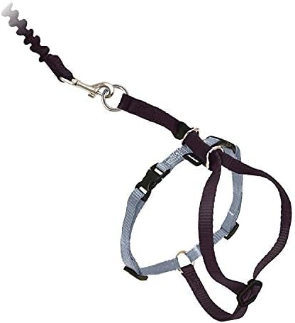 PetSafe Come with Me Kitty Harness and Bungee Leash Adjustable, Lightweight Harness for Cats Small, Black