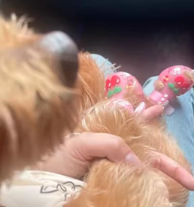 Cute Summer Dog Shoes Sweet Cherry Puppy Sandals Pet Jelly Shoes Flats, Dog Booties Paw Protector for Summer Hot Pavement (Candy Pink, #4: 2.28''x1.73''(Length*Width))