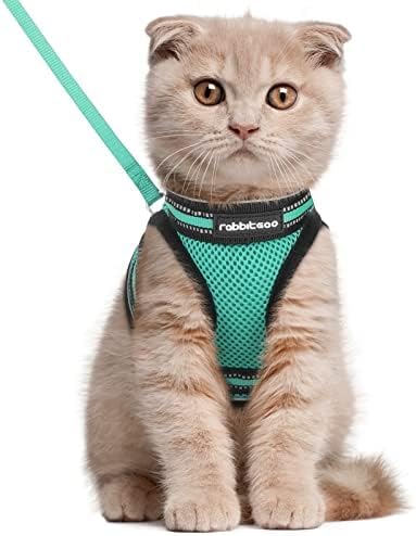 rabbitgoo Cat Harness and Leash, Step-in Escape Proof Kitten Harness Set, Soft Comfortable Cat Vest, Easy to Wear and Adjust, Reflective for Safe Outdoor Walking, Green, Large