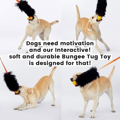 HOWGO Dog Rope,Dog Bungee Chaser 100% Sheepskin,Sheep Smell Tug for All Breeds(Black, Long Without Ball 2Pack)