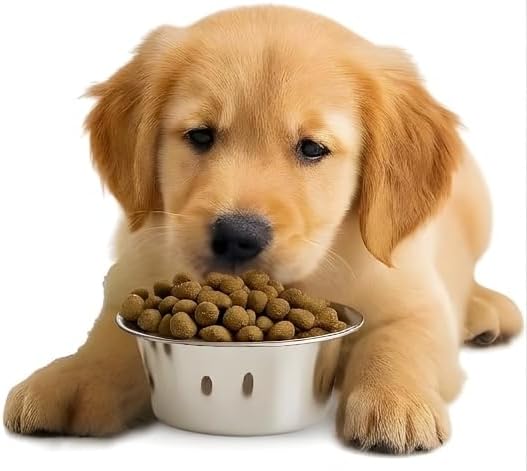 4 Pack Stainless Steel Cat & Dog Bowls, 8 oz Each, Small Pet Feeding Dishes for Food & Water, Lightweight & Durable