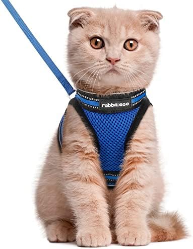 rabbitgoo Cat Harness and Leash, Step-in Escape Proof Kitten Harness Set, Soft Comfortable Cat Vest, Easy to Wear and Adjust, Reflective for Safe Outdoor Walking, Blue, Large