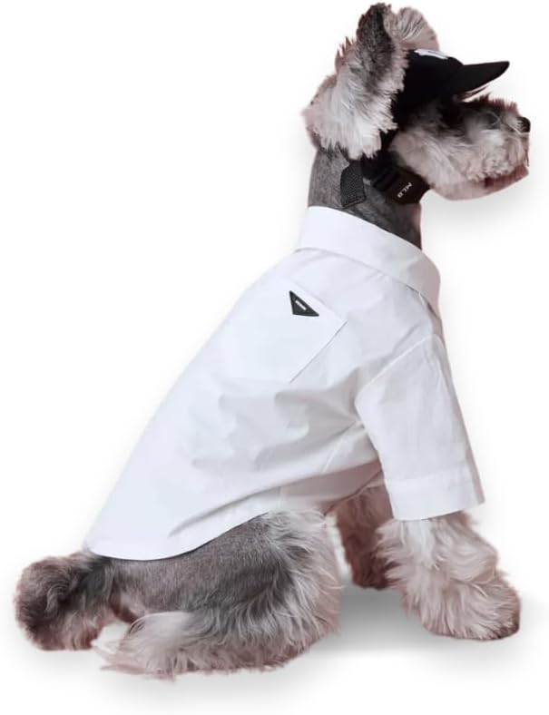 Luxury Pet Dress Shirt for Dogs & Cats – White Designer Button-Up Outfit, Formal Pet Clothes for Wedding, Party, Photoshoot, Puppy & Kitten Fashion Apparel (XX-Large 18.8–24.3 lbs)