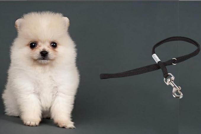 Pet Grooming Loop for Dogs, Adjustable Nylon Restraint Noose with Metal Snap, Safety Tether Strap for Grooming Table Arm, Bathing Restraint for Small Medium Large Dogs (20 inch)