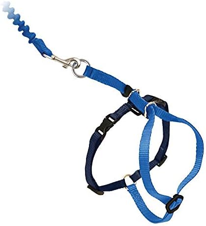 PetSafe Come with Me Kitty Harness and Bungee Leash Adjustable, Lightweight Harness for Cats Large, Royal Blue