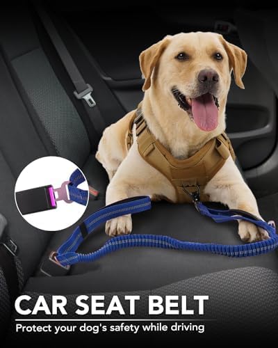 Joytale Tactical Dog Leash Heavy Duty, 4-6FT Shock Absorbing Bungee Lead with 2 Padded Handle, Metal Carabiner Clip, Car Seatbelt, Strong No Pull Leash for Medium Large X-Large Dogs, Navy Blue