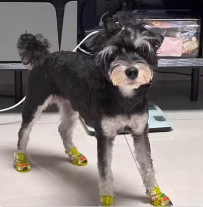 Cute Summer Dog Shoes Sweet Cherry Puppy Sandals Pet Jelly Shoes Flats, Dog Booties Paw Protector for Summer Hot Pavement (Candy Yellow, #5: 2.56''x1.89''(Length*Width))