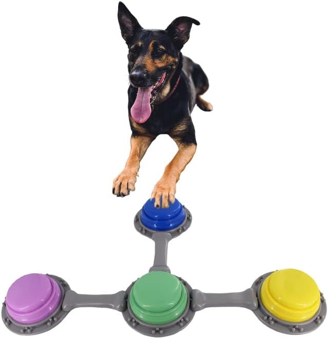Set of 4 Talking Buttons for Cat and Dog Training, Funny Engravable Voice Command Buttons with Placement Stickers, Colorful and Customizable - Y, G, P, B