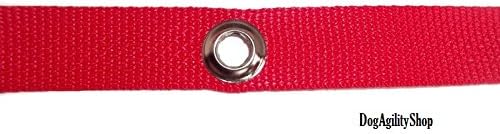 6 Weave Pole Spikes/Stakes and Red Pole Placer Combo