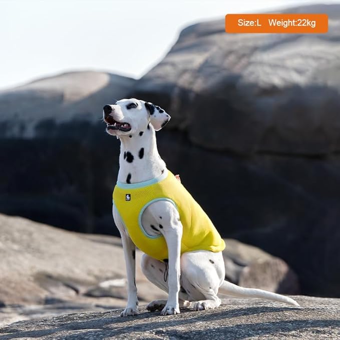 JUXZH Truelove Dog Cooling Vest Harness Cooler Jacket with Adjustable Zipper for Outdoor Hunting Training and Camping