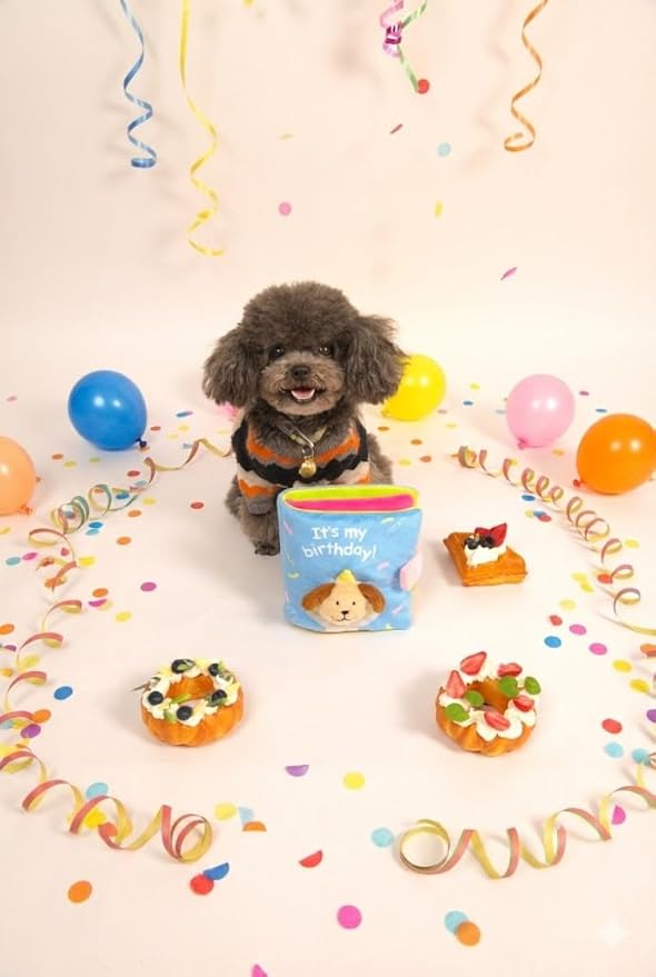 Birthday Box for Dogs, Hide & Seek Toy, Snuffle Ball, Plush Bone, Treats, Water Bottle, Hat, Bandana, All Breeds