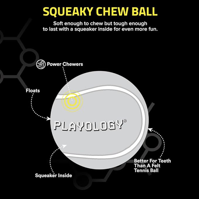 Playology Dog Toys | Squeaky Chew Ball for Dogs, Value 2-Pack | Chicken Scented Medium Dog Balls | Bouncy Floating Chew Toys for Fetch