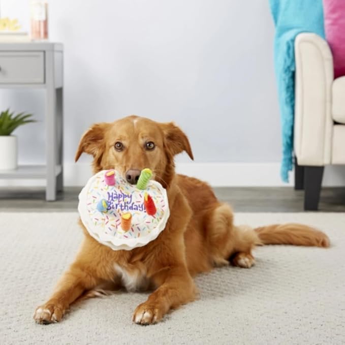 Dog Squeaky Toys Plush Chew Toys Enrichment Toys Interactive Burrow Activity Cute Dog Birthday Gifts Funny Toy Bundle Pack for Small Medium Large Dogs (Birthday Cake - 4 Pack)