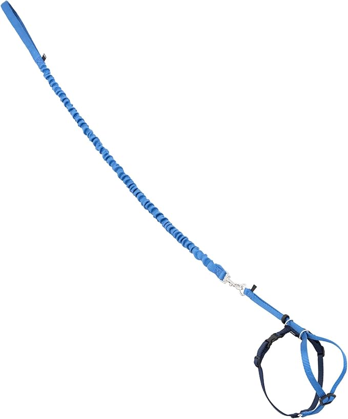 PetSafe Come with Me Kitty Harness and Bungee Leash Adjustable, Lightweight Harness for Cats Small, Royal Blue
