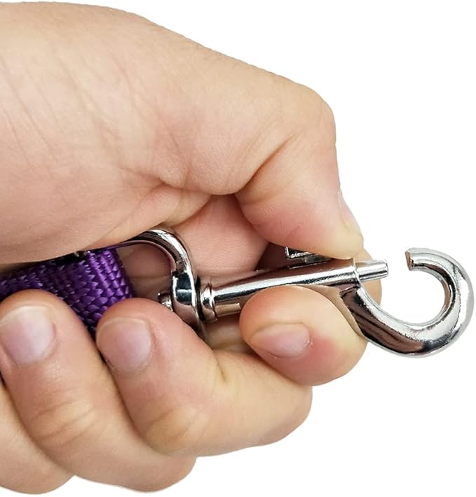 Nylon Dog Training Leash, Traction Rope, 4Ft /5 Foot /6 Feet Long, 5/8 inch 3/4 Inch 1 Inch Wide, for Small and Medium Dogs (3/4'' x 4 F, Purple)