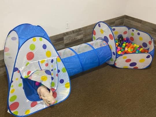 Piggy Poo and Crew Interactive Pet Tunnel and Ball Pit | Fun Pet Playhouse | Includes 50 Balls | Collapsible Design | Indoor/Outdoor - for Dogs, Pigs, Cats, Rabbits, and Other Small Animals