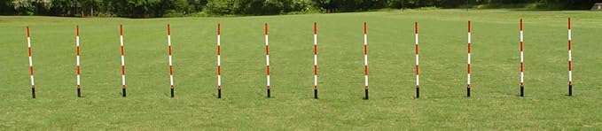 DogSport Dog Agility Weave Poles with Adjustable Spacing (Black)