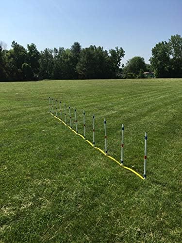 The Dog Agility Shop Set of 12 Weave Poles, Dog Agility Training Equipment for Dogs