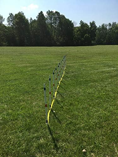 The Dog Agility Shop Set of 12 Weave Poles, Dog Agility Training Equipment for Dogs