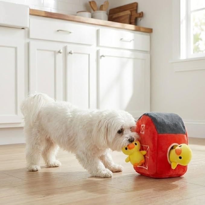 MODERN WAVE - Interactive Squeaky Plush Hide and Seek Squirrel Type Puzzle Toy for Dogs, Medium/Large Size (Farm and Ducks)