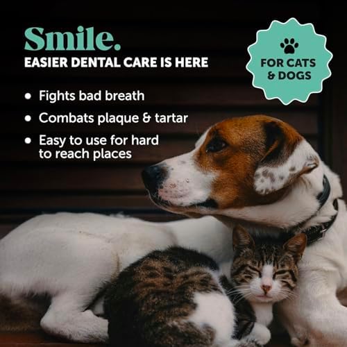 Pet Honesty Dog Dental Care Virtual Bundle – Dental Finger Wipes (30 Ct) + Brush Buddies Dental Sticks for Extra Small Dogs (40 Ct) – Teeth Cleaning, Plaque & Breath Support
