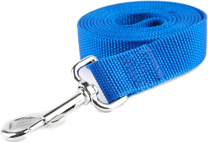 Nylon Dog Training Leash, Traction Rope, 4Ft /5 Foot /6 Feet Long, 5/8 inch 3/4 Inch 1 Inch Wide, for Small and Medium Dogs (3/4'' x 4 F, Blue)