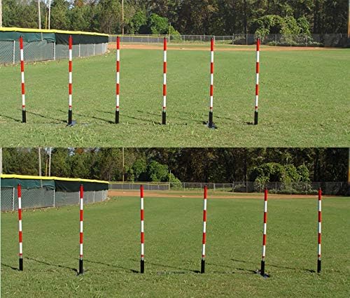 DogSport Dog Agility Weave Poles with Adjustable Spacing (Black)